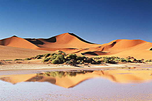 纳米比亚,索苏维来地区,区域,沙丘,沙漠,大幅,尺寸