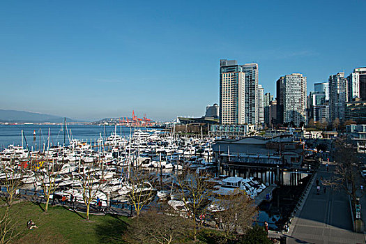 船,码头,煤,港口,温哥华,不列颠哥伦比亚省,加拿大