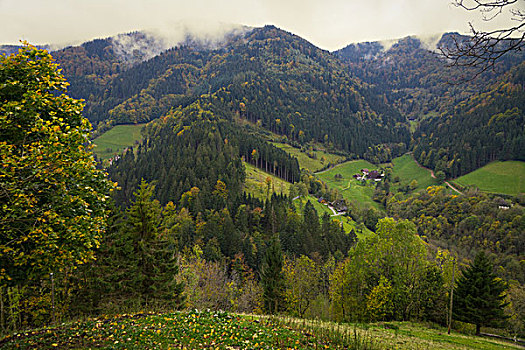 山谷,风景,黑森林,秋天,德国