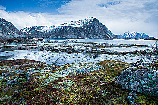 苔藓,遮盖,石头,遥远,峡湾,山,罗弗敦群岛,挪威