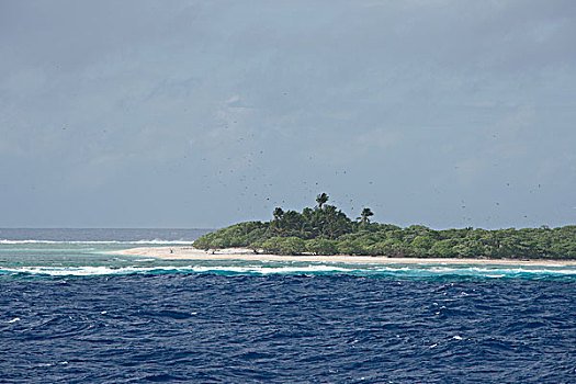 西部,太平洋,密克罗尼西亚联邦,岛屿,雅浦岛,小,遥远,围绕,珊瑚礁,大幅,尺寸