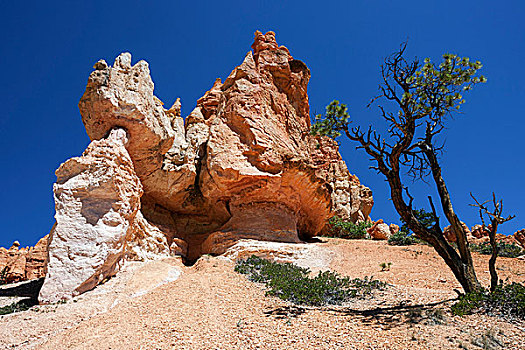 色彩,岩石构造,仙人烟囱岩,皇后区,花园,小路,布莱斯峡谷国家公园,犹他,美国,北美