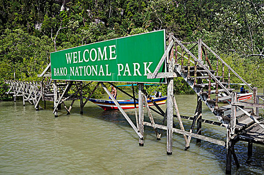 马来西亚,婆罗洲,沙捞越,巴戈国家公园,入口,公园,只有,无障碍,船