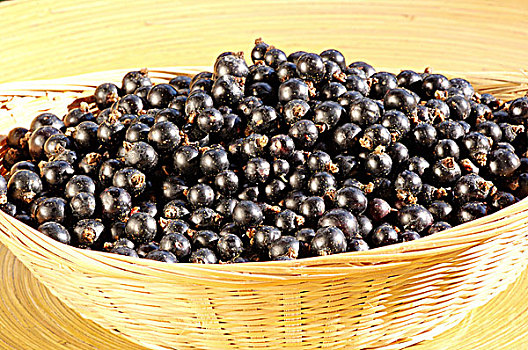 黑色,鼠尾草,农场,不列颠哥伦比亚省,加拿大,水果,浆果