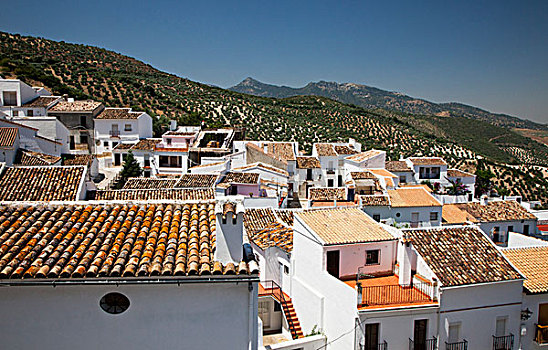 欧洲,西班牙,安达卢西亚,卡迪兹,屋顶,白色,乡村