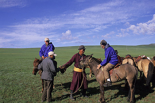 中心,蒙古,靠近,喀喇昆仑,草地,草原,游客,骑马