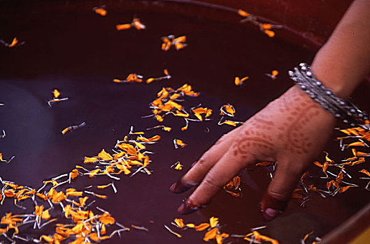 手,女人,装饰,散沫花染料,孟加拉