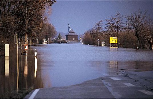 洪水,道路,莱茵高地区,黑森州,德国,欧洲
