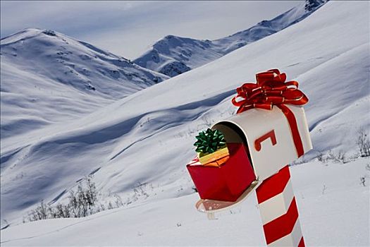 白色,邮箱,装饰,圣诞节,站立,雪地,冬天,阿拉斯加