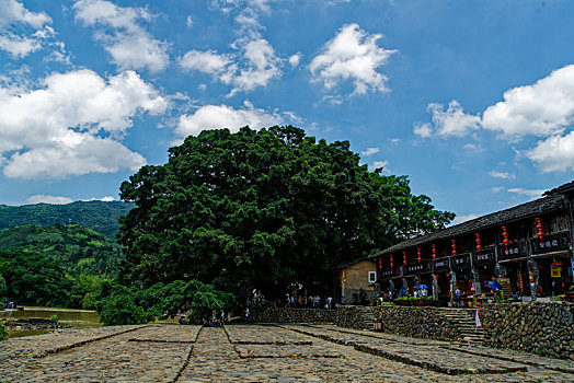 福建,漳州,古镇,风光