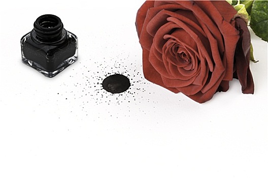 红玫瑰,墨水,容器,纸
