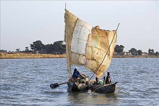 马里,尼日尔,三角洲,两个,独木舟,一个,帆,尼日尔河