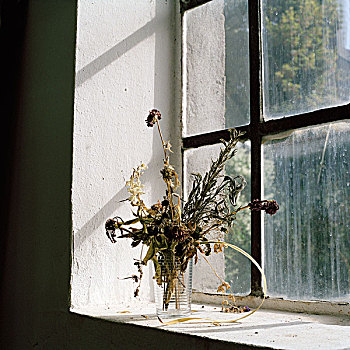 干燥,花,窗,窗台