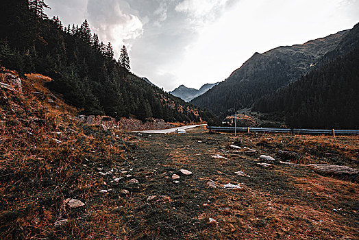 山谷,路边,风景,罗马尼亚