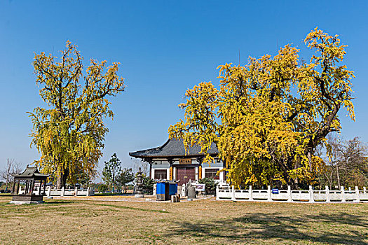 古惠济寺