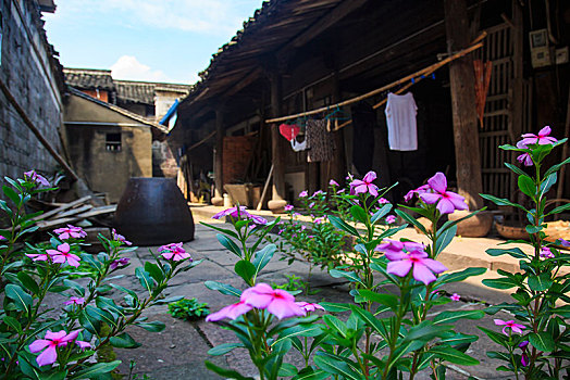 院子,四合院