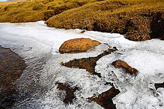 结冰的小溪