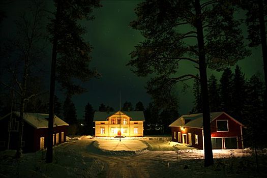 北极光,上方,房子,树林,瑞典