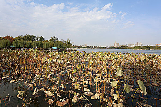 湖面风景