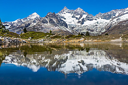 阿尔卑斯山,反射,小,高山湖,策马特峰,瑞士