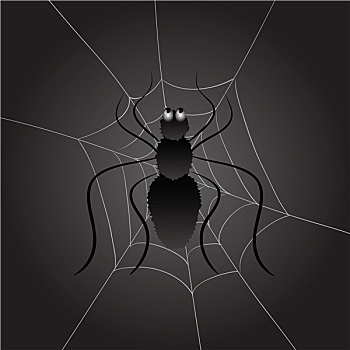 黑色,蜘蛛