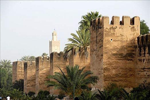 老,强势,城墙,尖塔,西南部,摩洛哥