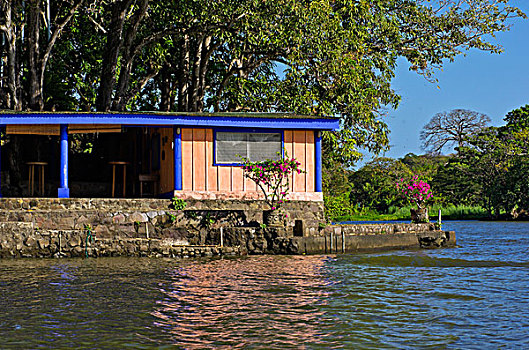房子,岛屿,热带,植被,湖,尼加拉瓜,中美洲