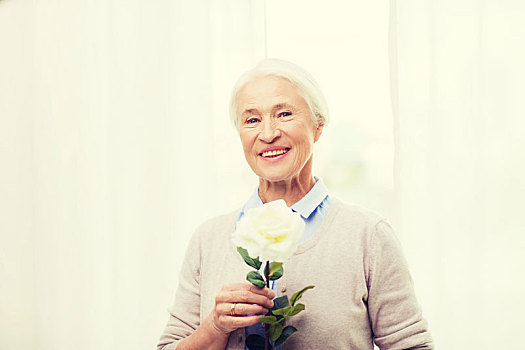 高兴,老年,女人,玫瑰花,在家