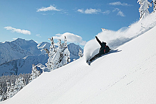 滑雪板,山峦,不列颠哥伦比亚省,加拿大
