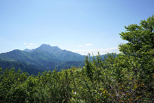 景色,夏天,风景,日本,山景,绿色,树林,蓝天