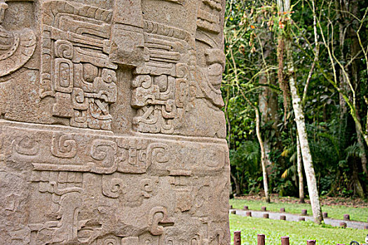 危地马拉,国家公园,玛雅人遗址,经典,时期,广告,广场,特写,雕刻,砂岩,石碑,大幅,尺寸