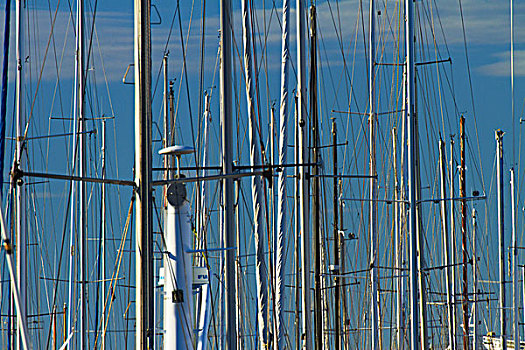 游艇,桅杆,纳尔逊,码头,南岛,新西兰