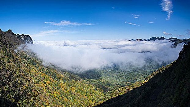 神农架林区天燕风景区初秋