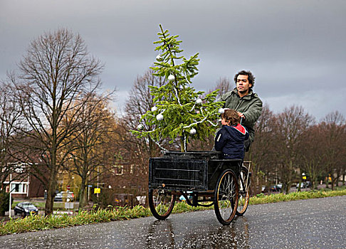 男人,圣诞树,三轮车