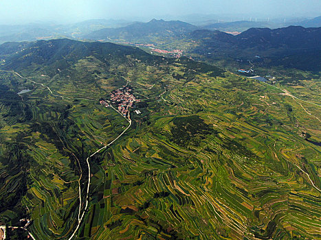 山东省日照市,航拍莒县龙山七彩梯田,色彩斑斓扮靓丰收季节