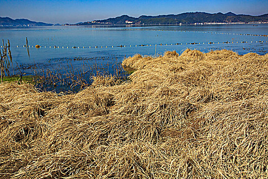 水面,水畔,水岸