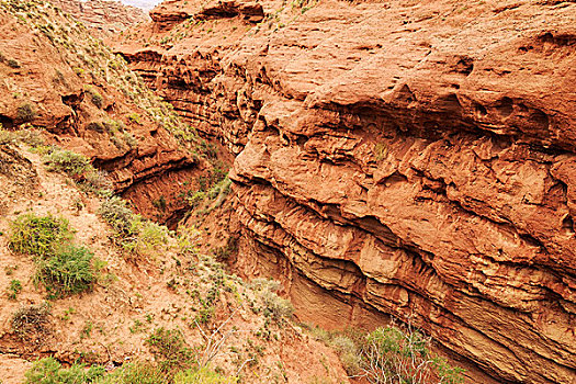 风景,红色,砂岩