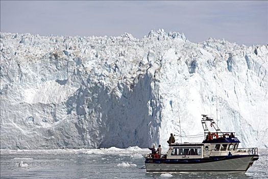 格陵兰,冰河,活动,船,游客,看,片,冰面,湾,正面,结冰,口鼻部