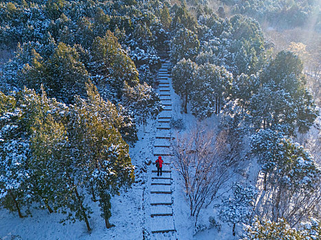 济南佛慧山雪景