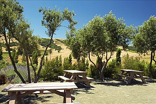 俯拍,木质,野餐椅,那帕山谷,加利福尼亚,美国