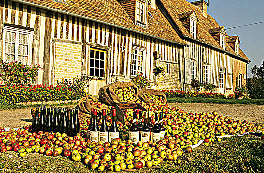 法国,诺曼底,苹果白兰地,农场,苹果,瓶子,前景