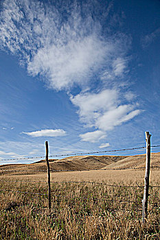 刺铁丝网,牧场,草地,靠近,卡里布,区域,不列颠哥伦比亚省,加拿大
