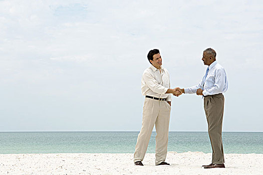 两个,商务人士,握手,海滩