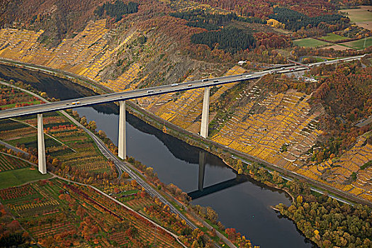 公路,桥,上方,摩泽尔,莱茵兰普法尔茨州,德国,欧洲