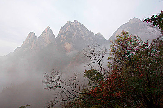 黄山风光