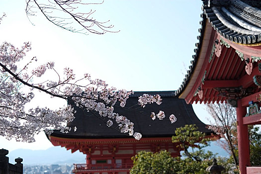 京都清水寺