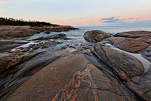 鲸,路线,海洋公园,区域,魁北克,加拿大