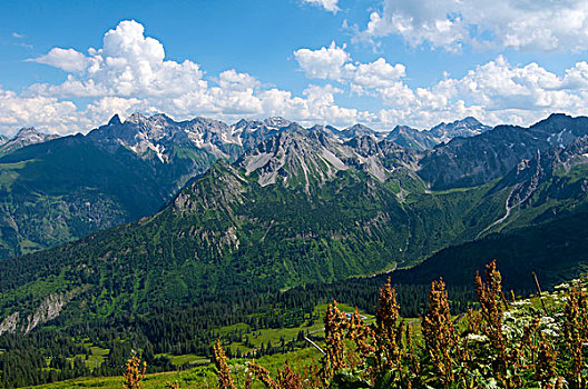 风景,山,上方,阿尔卑斯山,奥伯斯多夫,巴伐利亚,德国,欧洲