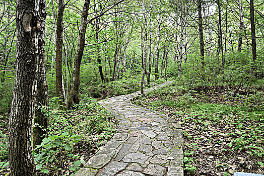 河北省石家庄市平山县驼梁风景区