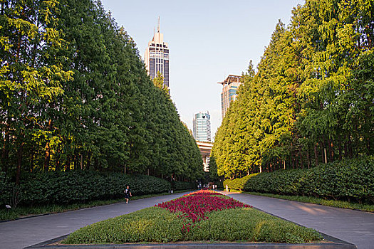 上海城市景观